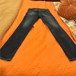 AG Adriano Goldschmied Indigo Skinny Jeans